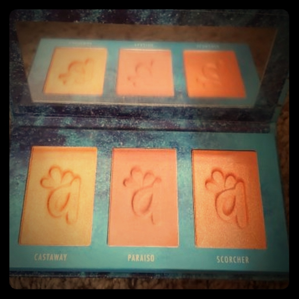 Blush pallet
